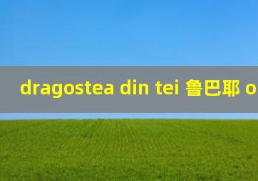 dragostea din tei 鲁巴耶 o-zone